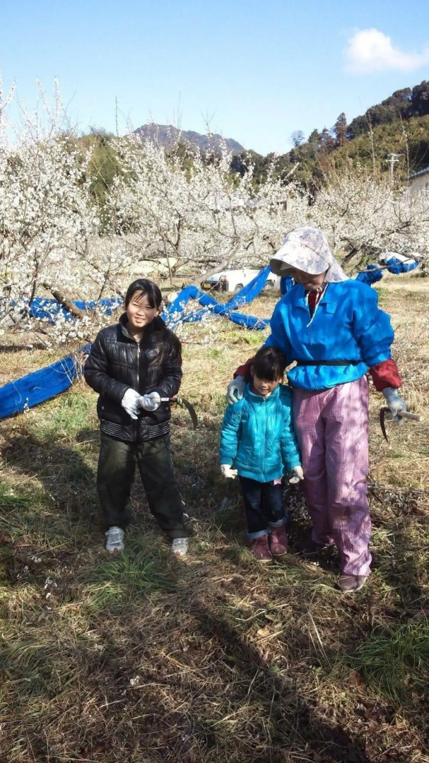 Nouka Minpaku Mirainouen