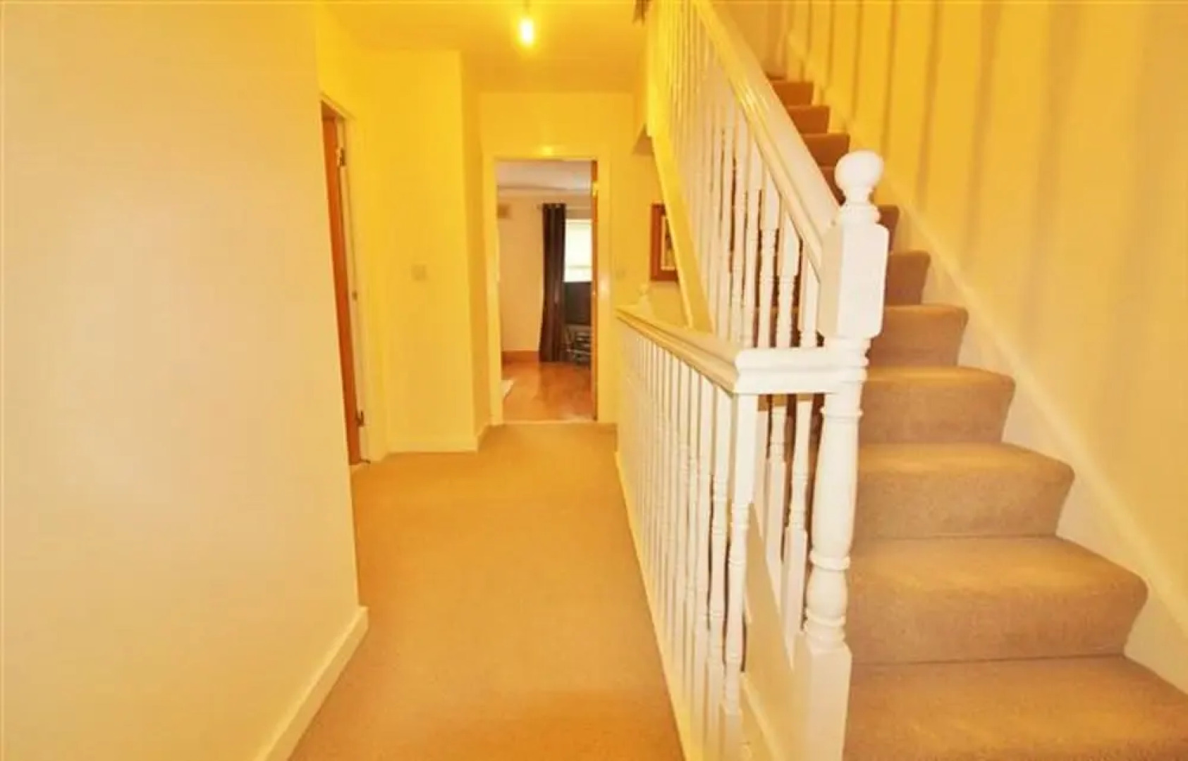 Saleem Holiday House