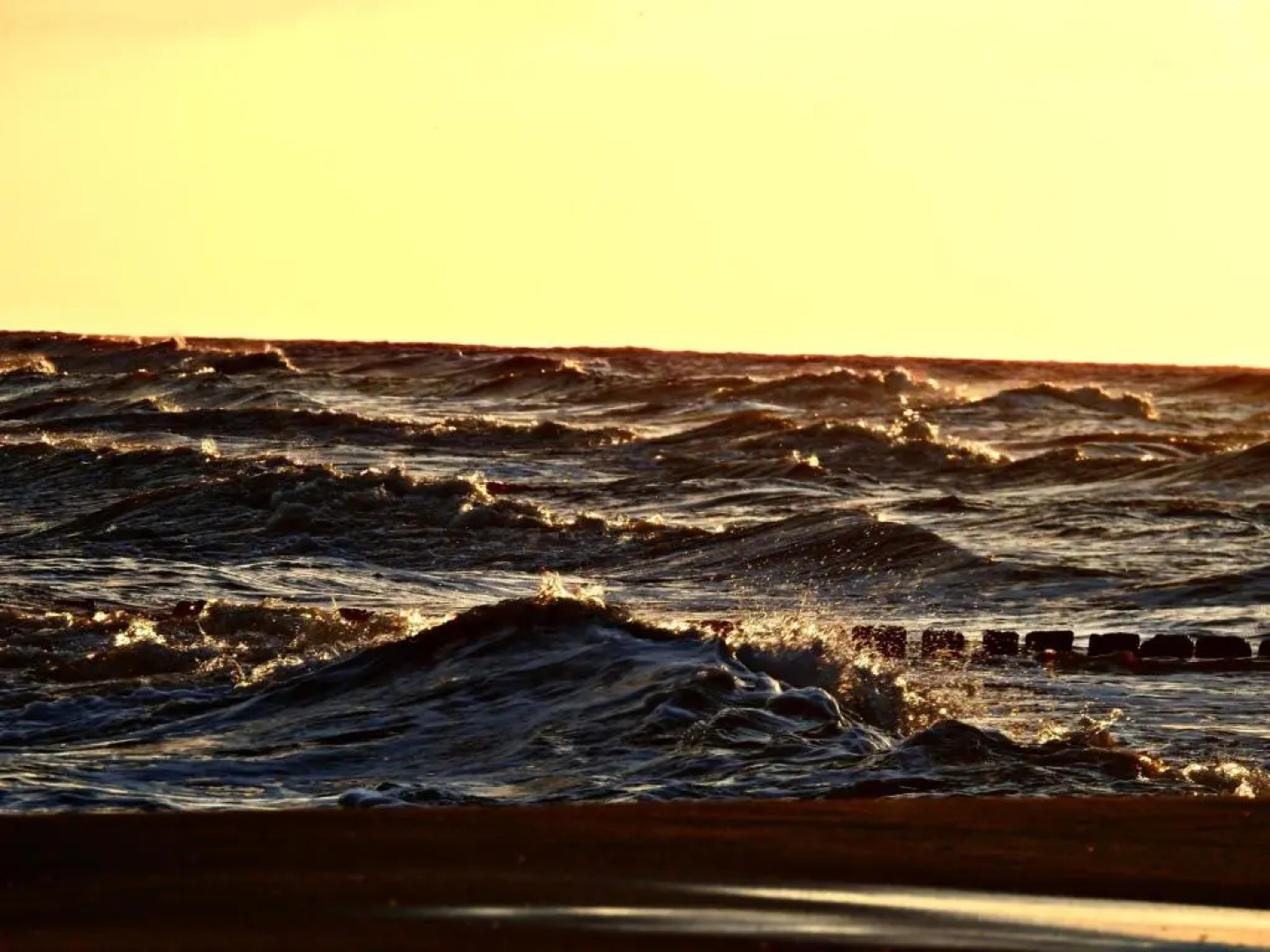 Apartamenty Hallerowo