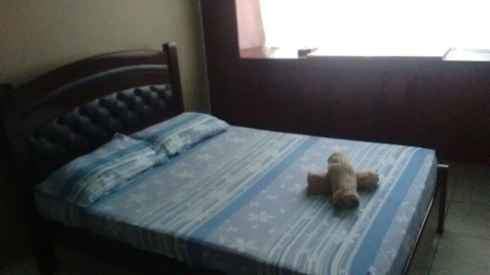 Saqua Beach Hostel