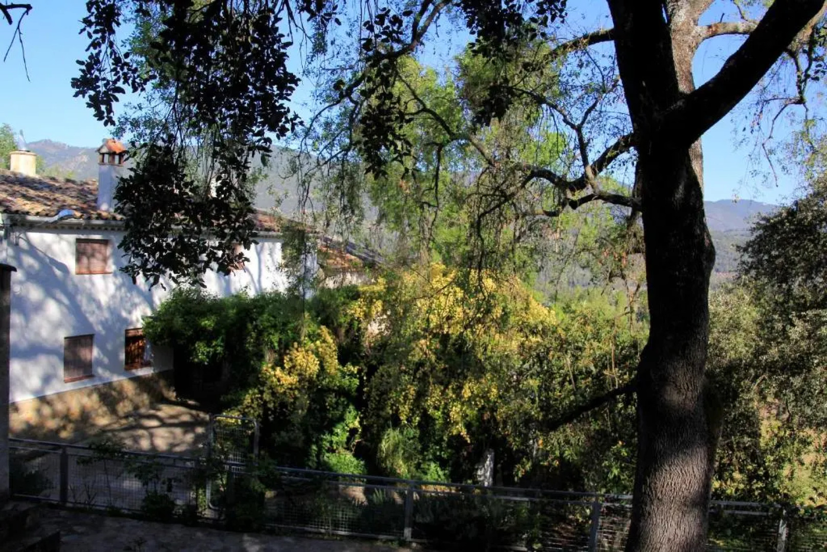 Casas Rurales Mesoncillo Neo