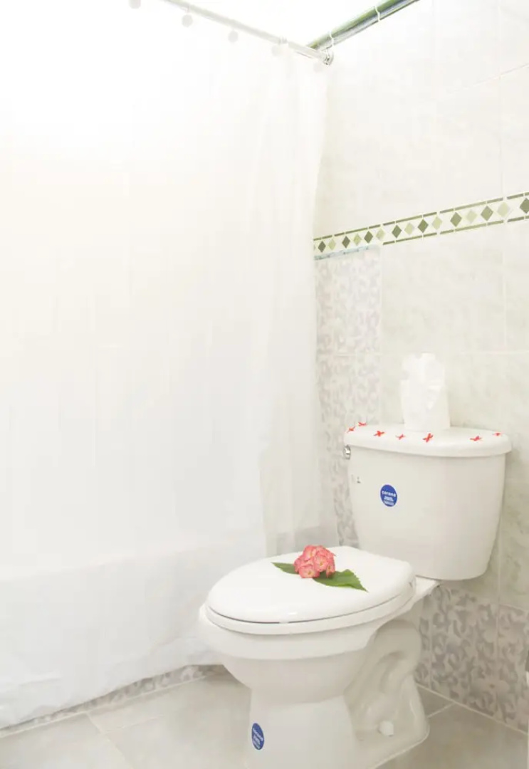 Hotel Cortecito Inn Bavaro