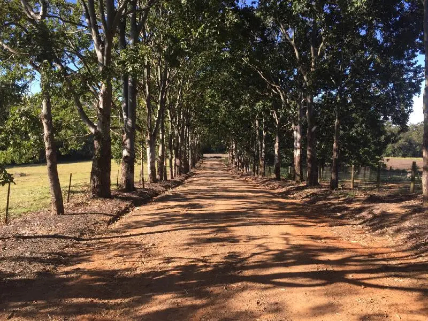 Blackwattle Farm B&B