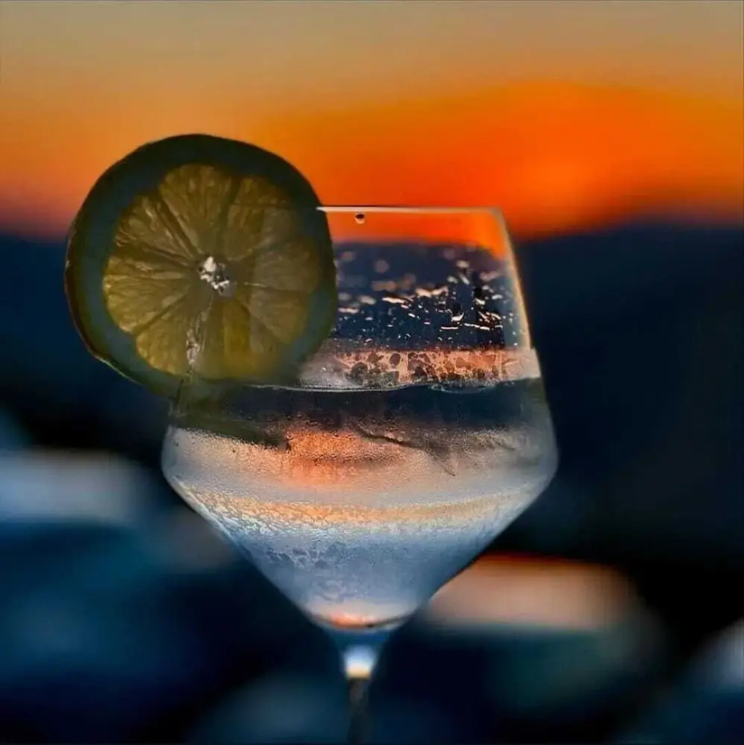 Socalcos Do Douro House