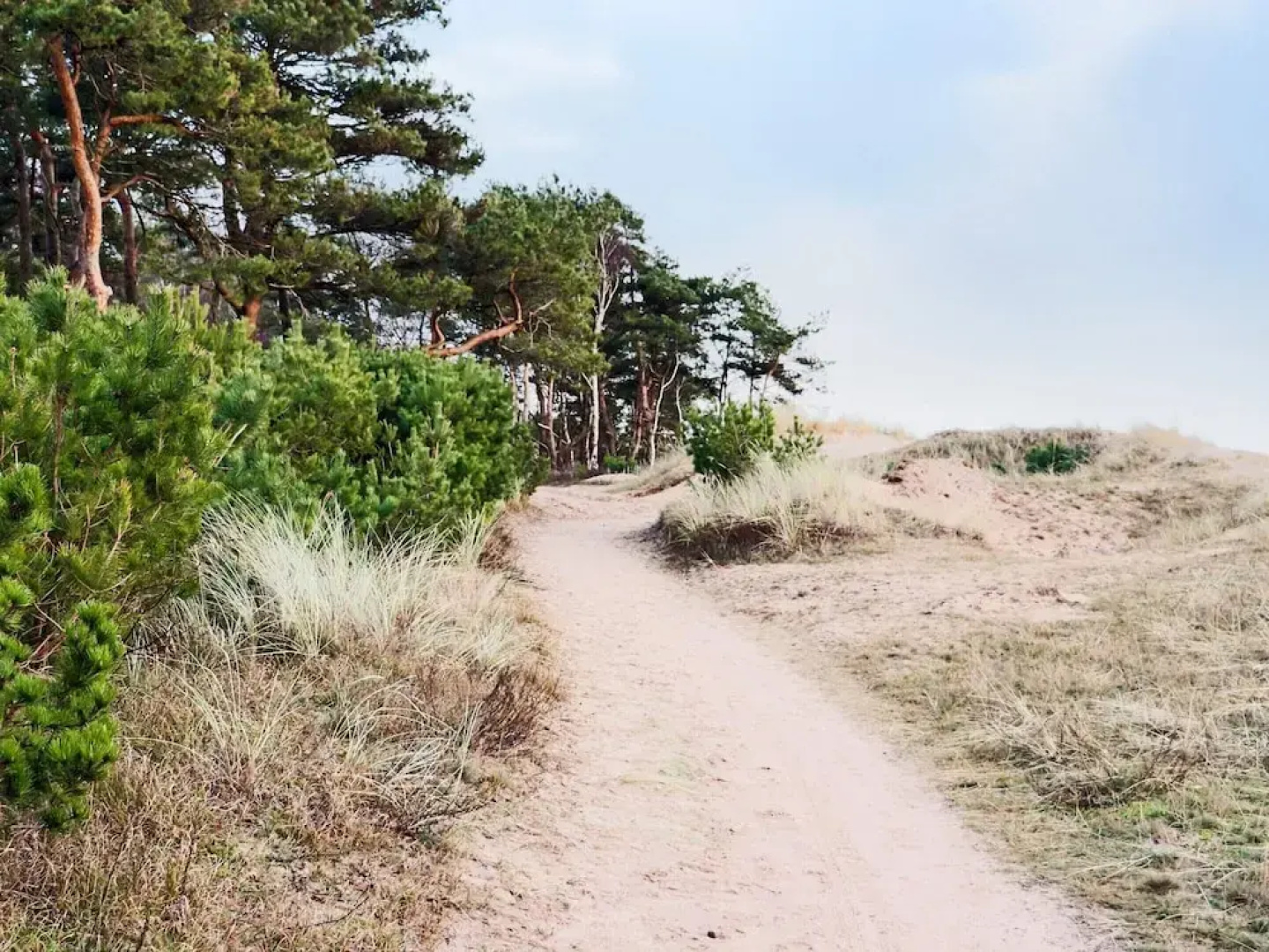 4 Star Holiday Home in Halmstad