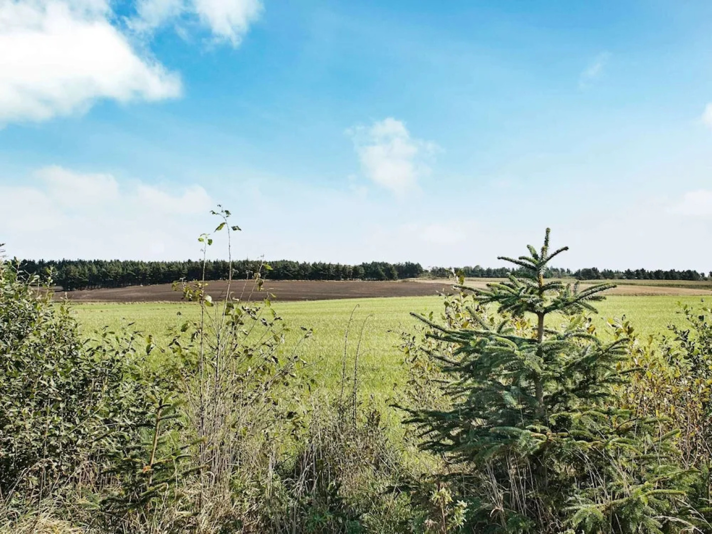 14 Person Holiday Home in Lokken