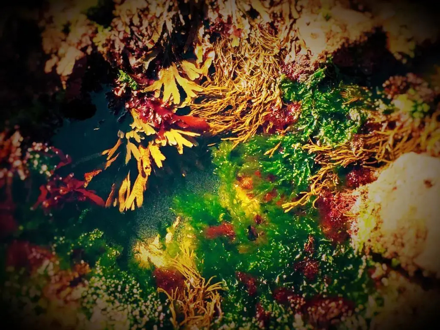 The Coastguard House @ Tigh T.P.