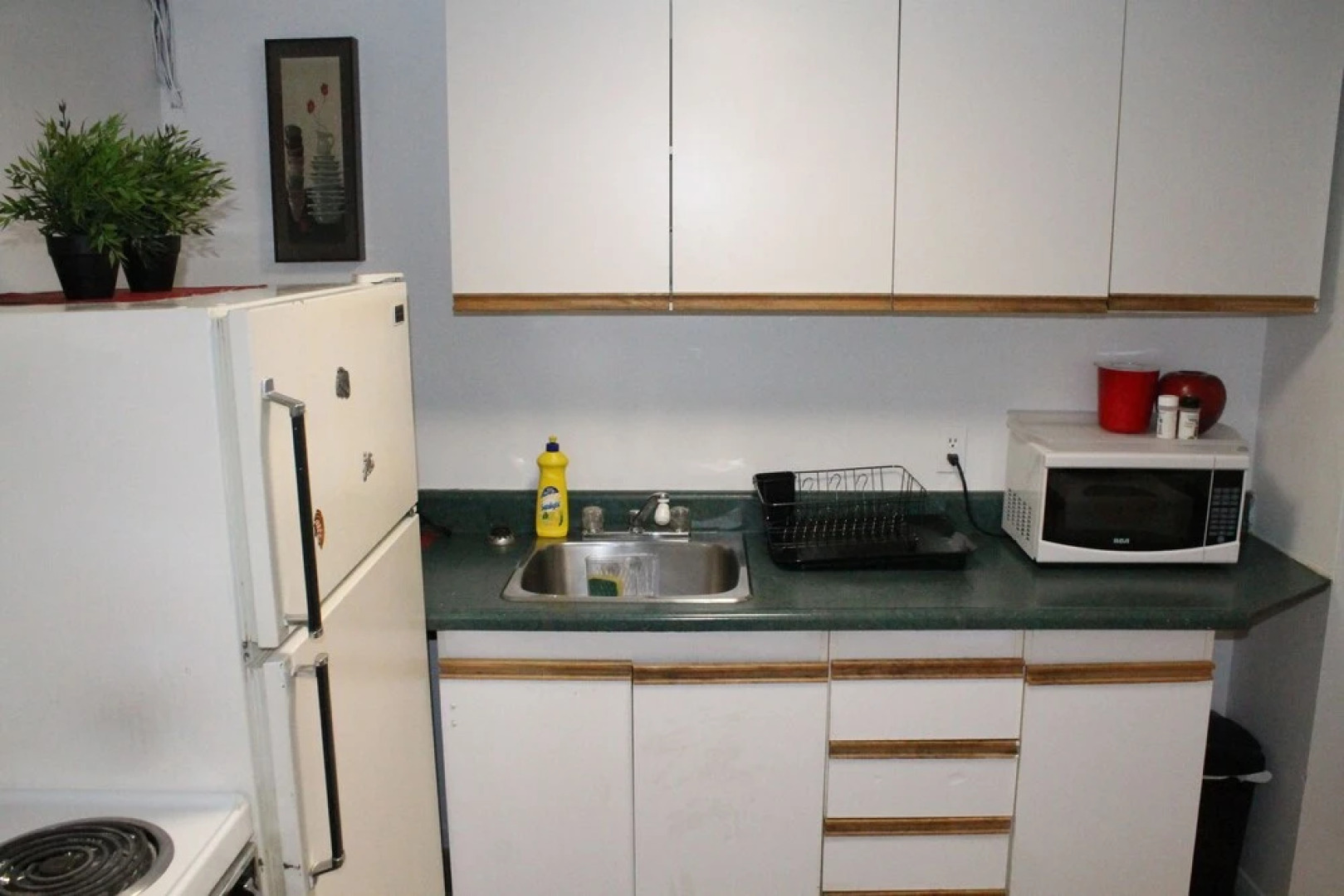 Adib Apartments - 1530 Gilles St, Unit 4 (Basement)