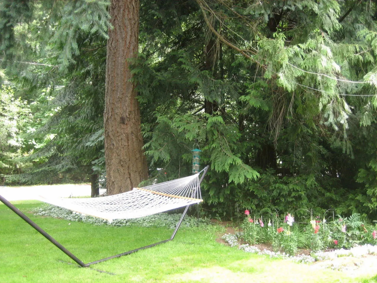 Misty Meadows B&B
