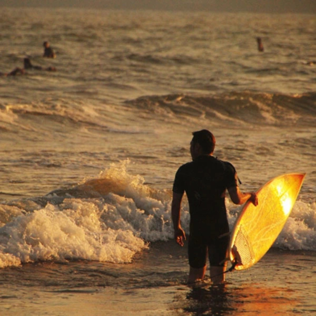Tanegashima Minshuku Yu-Yu
