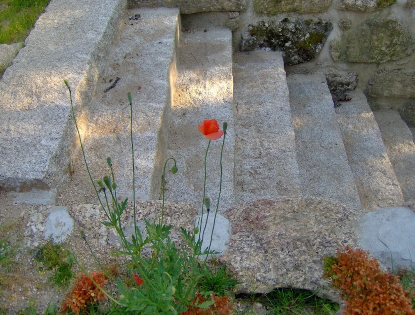 Room-paradise is Real at Vale Martinho R