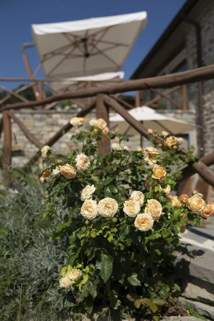 La Fattoria dell'Autosufficienza