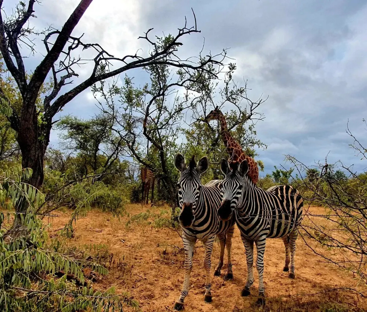 Blyde River Wilderness Lodge