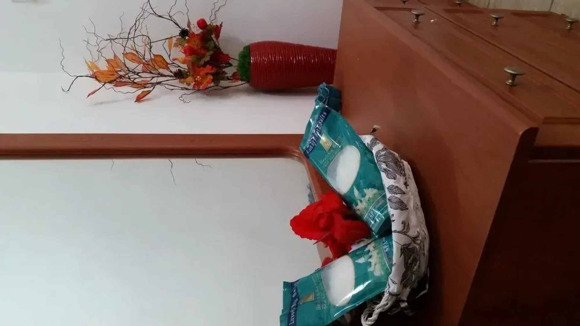 Zimmer Dora Dead Sea