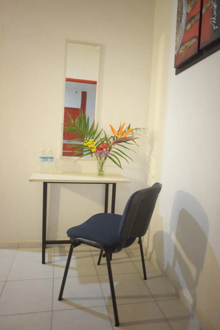 Hotel Plaza Providencia