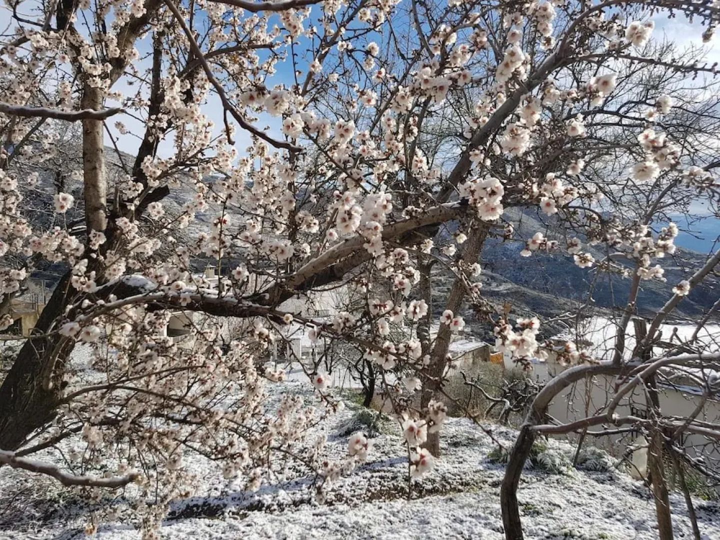 Alojamientos Rurales Los Macabes