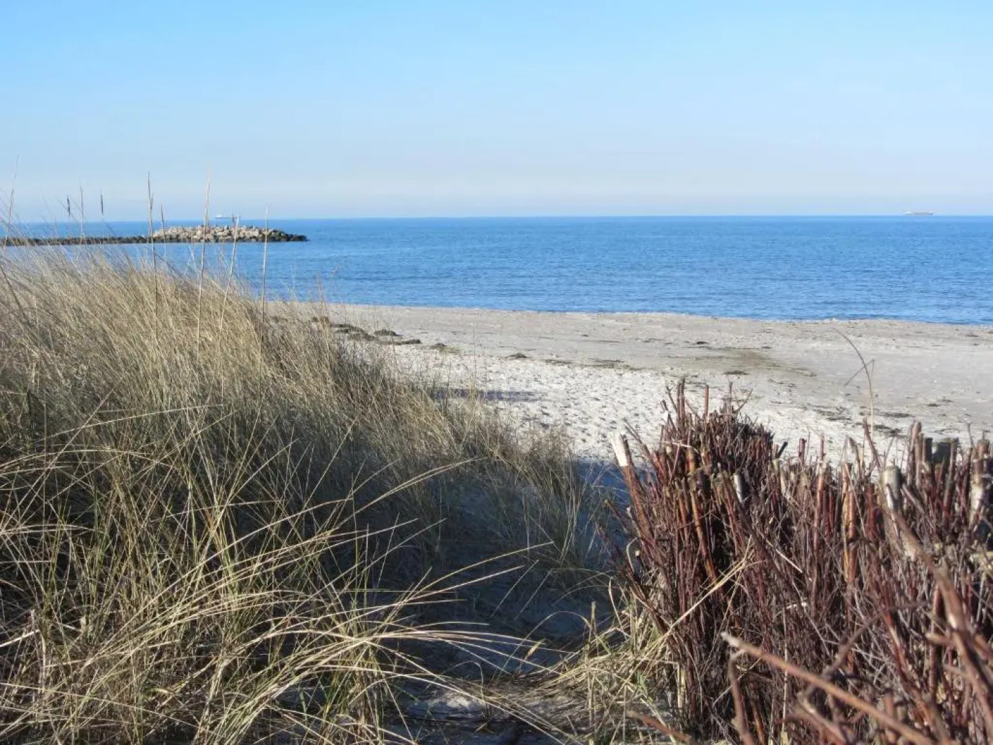 Apartment Holunderbusch