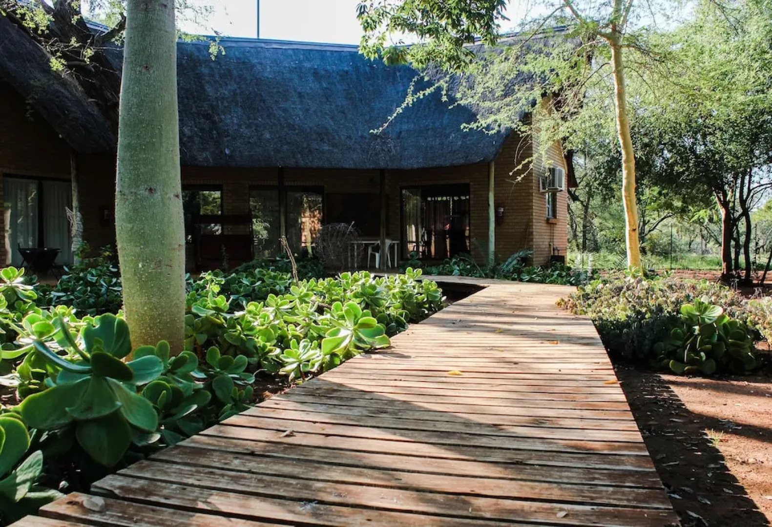 Zingela Nature Reserve - Leadwood Lodge