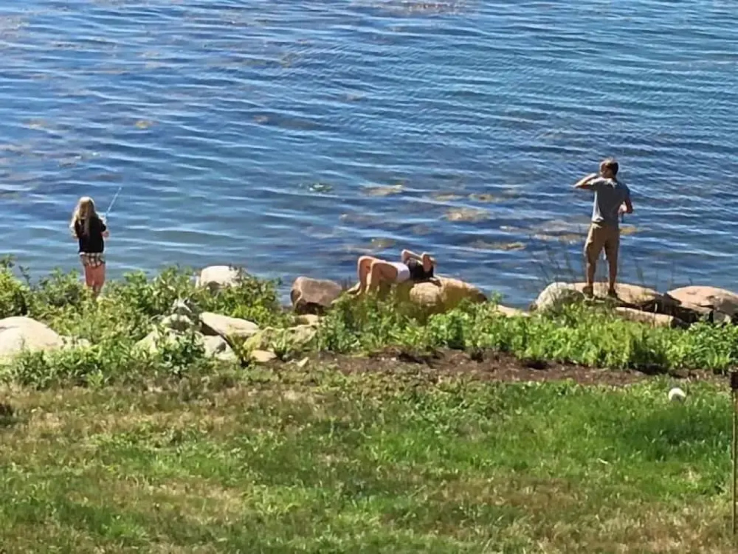 Clamshell By The Sea