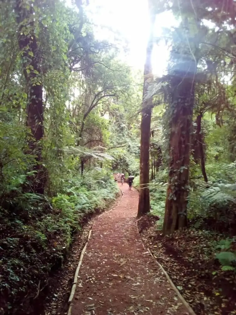 kilnopark hotel machame
