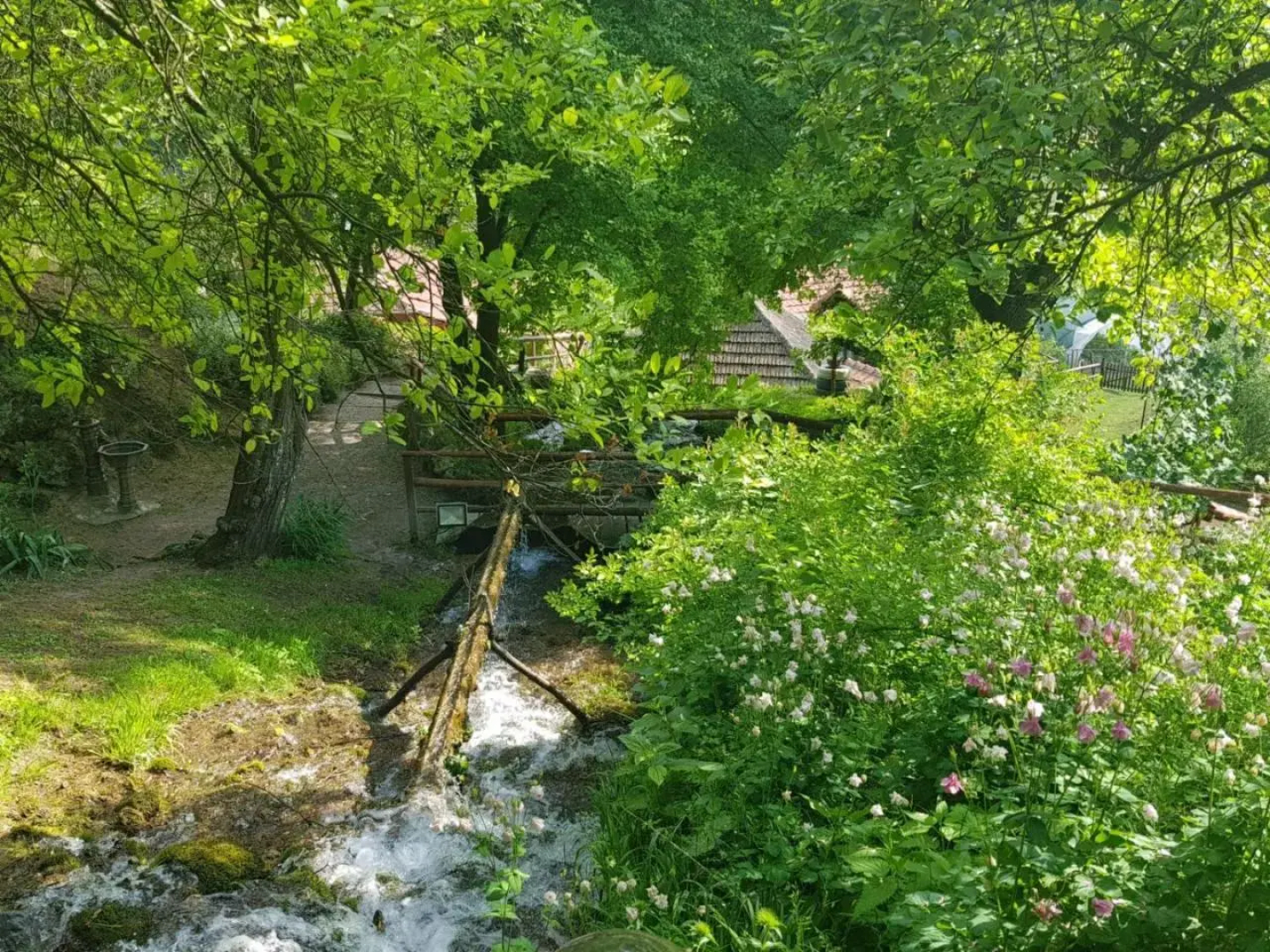 Guest House Lisinski Raj
