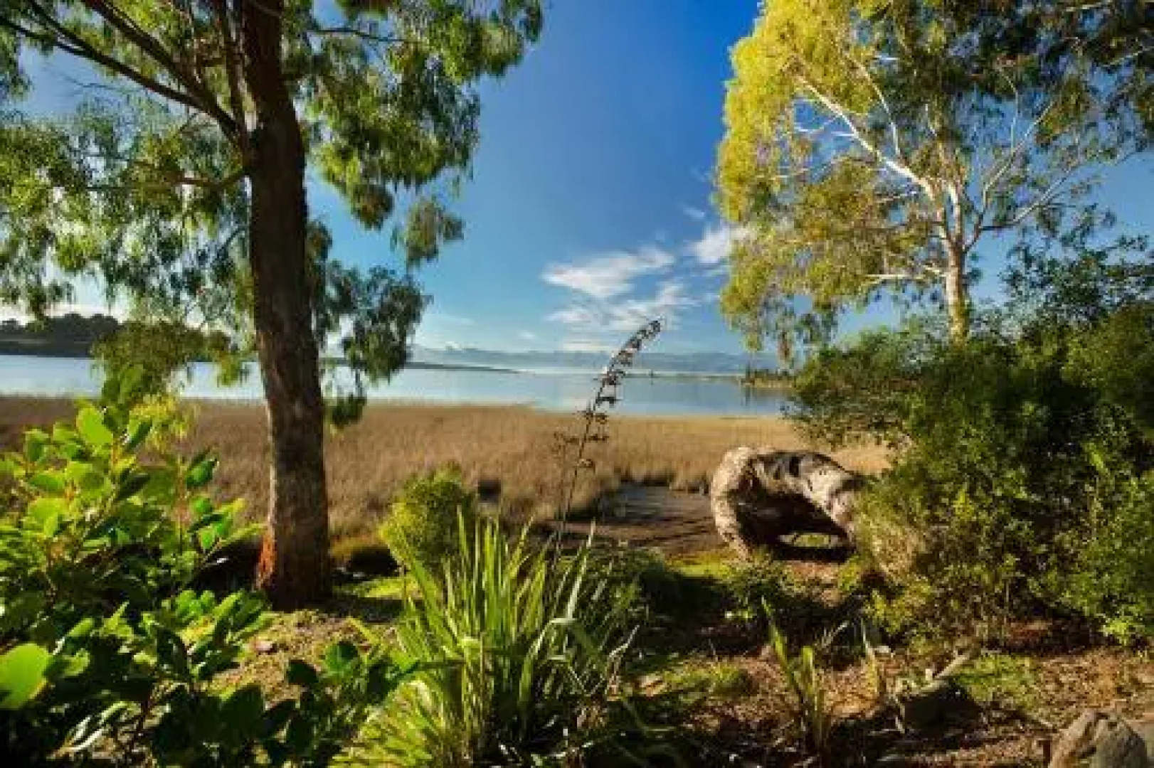 The Apple Pickers' Cottages at Matahua