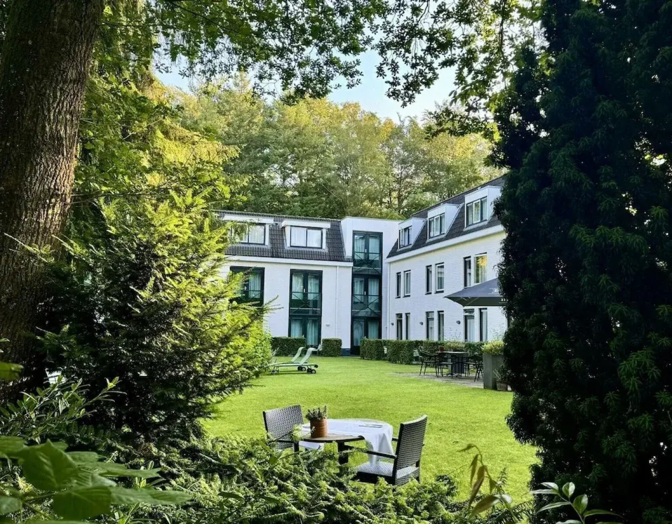 Witte Berken Natuurhotel