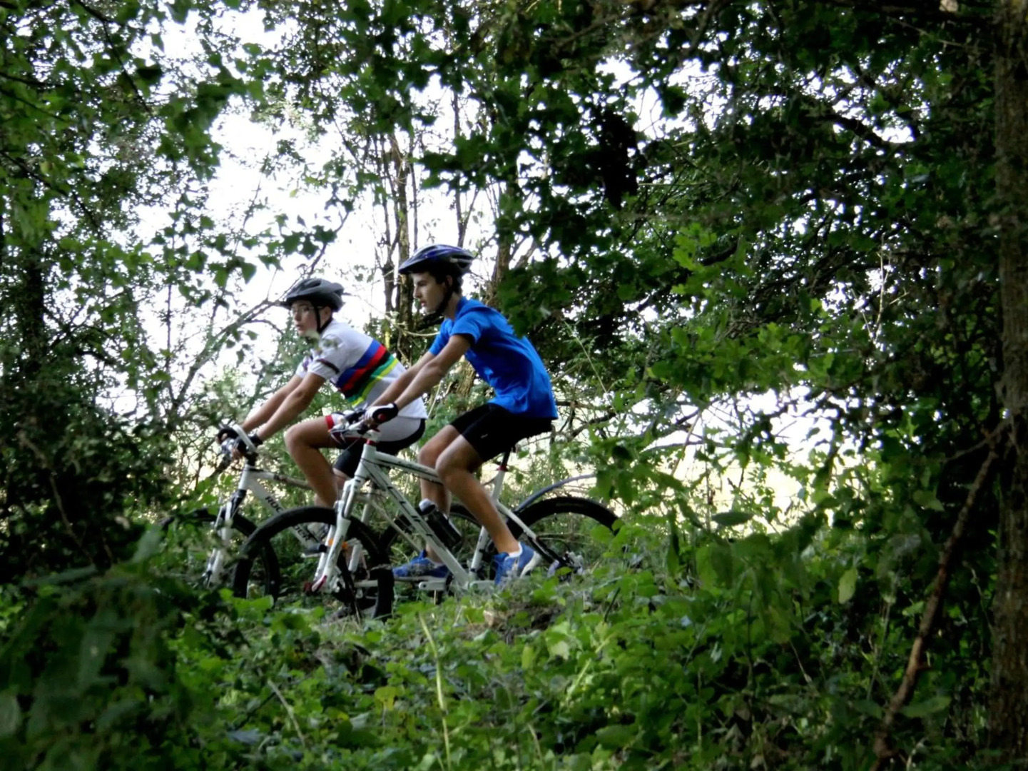 Le studio de la Villa Madeleine