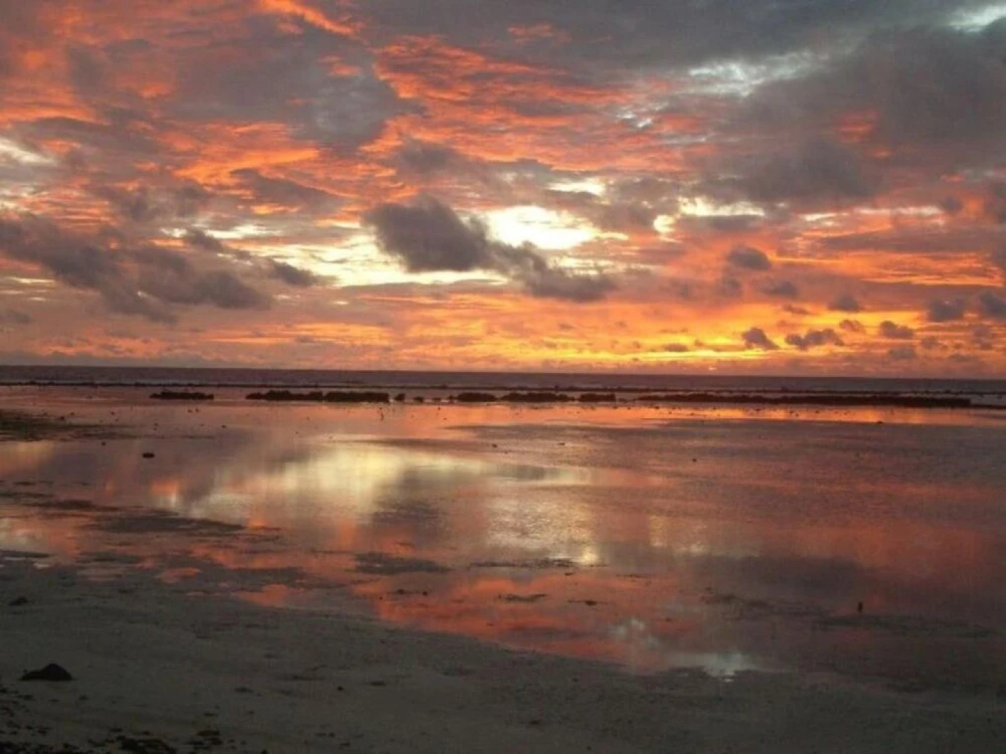 Pacific Treelodge Resort