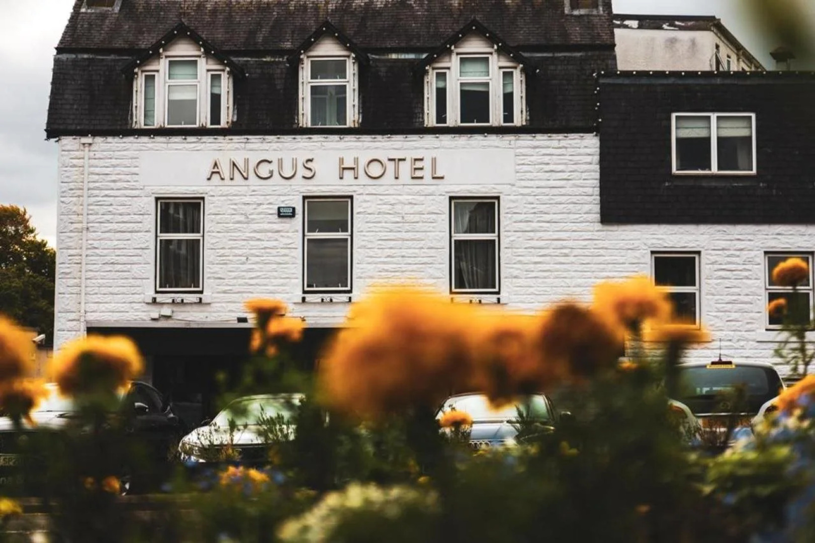 Angus Hotel