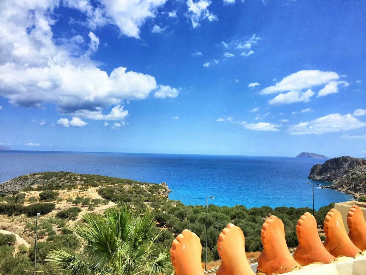 Anemone Seaside Traditional Homes