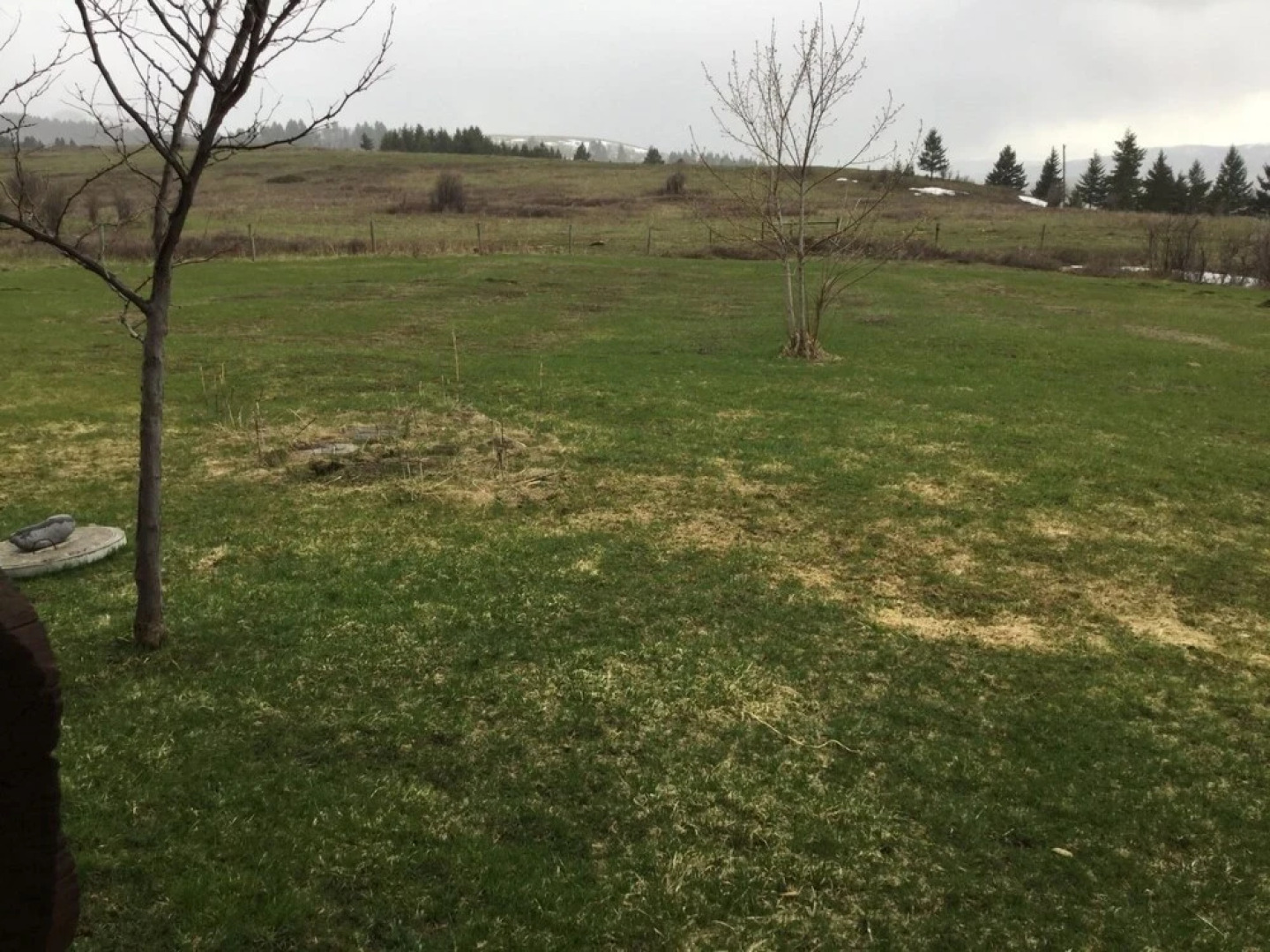 Bozeman - Hyalite View Ranch