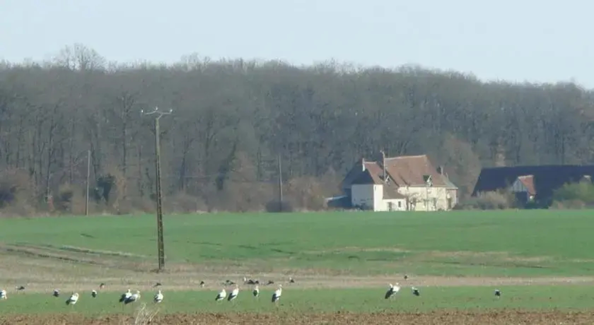Le Grand Coudreau