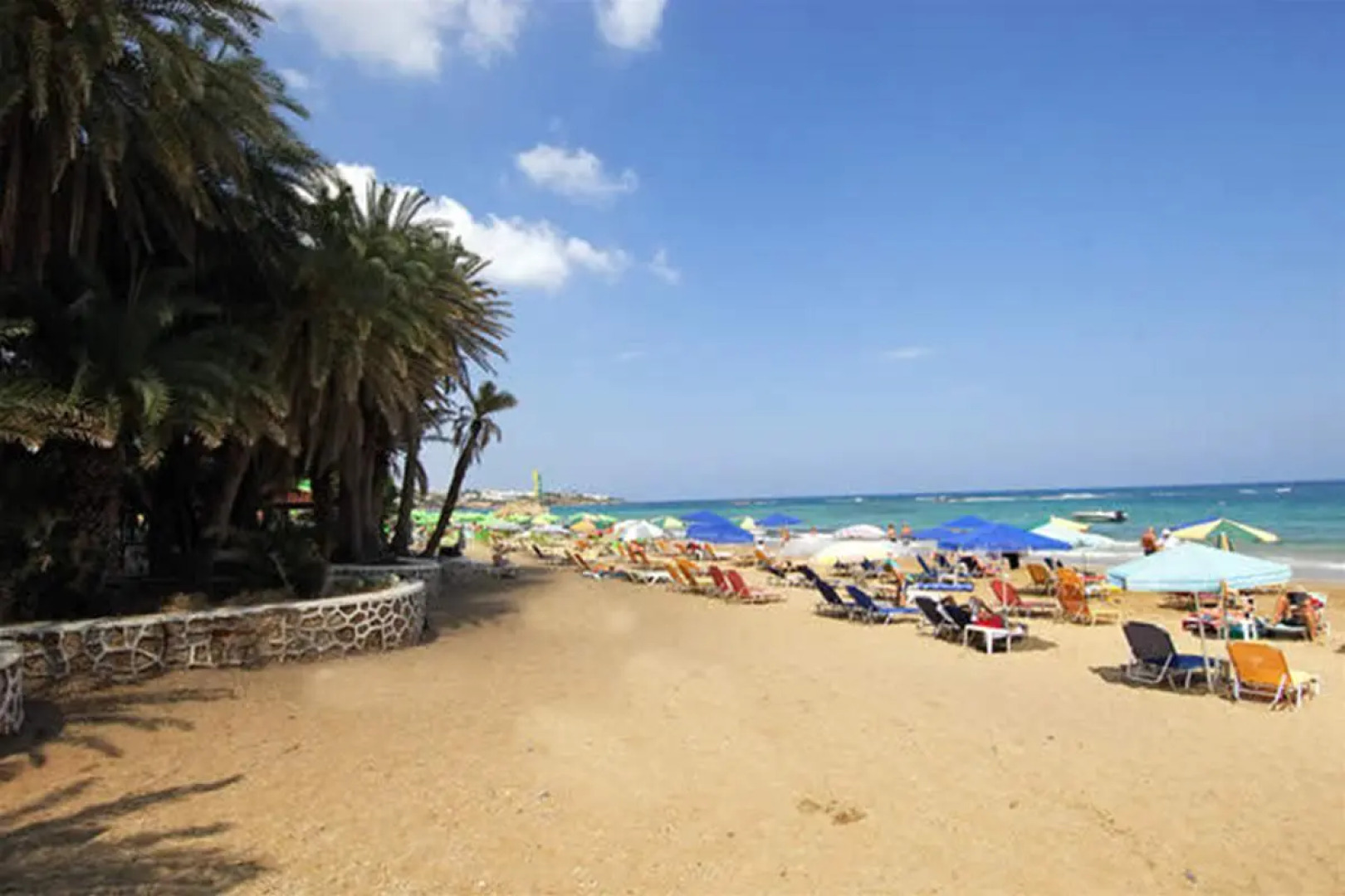 Zeus Hotels Palm Beach