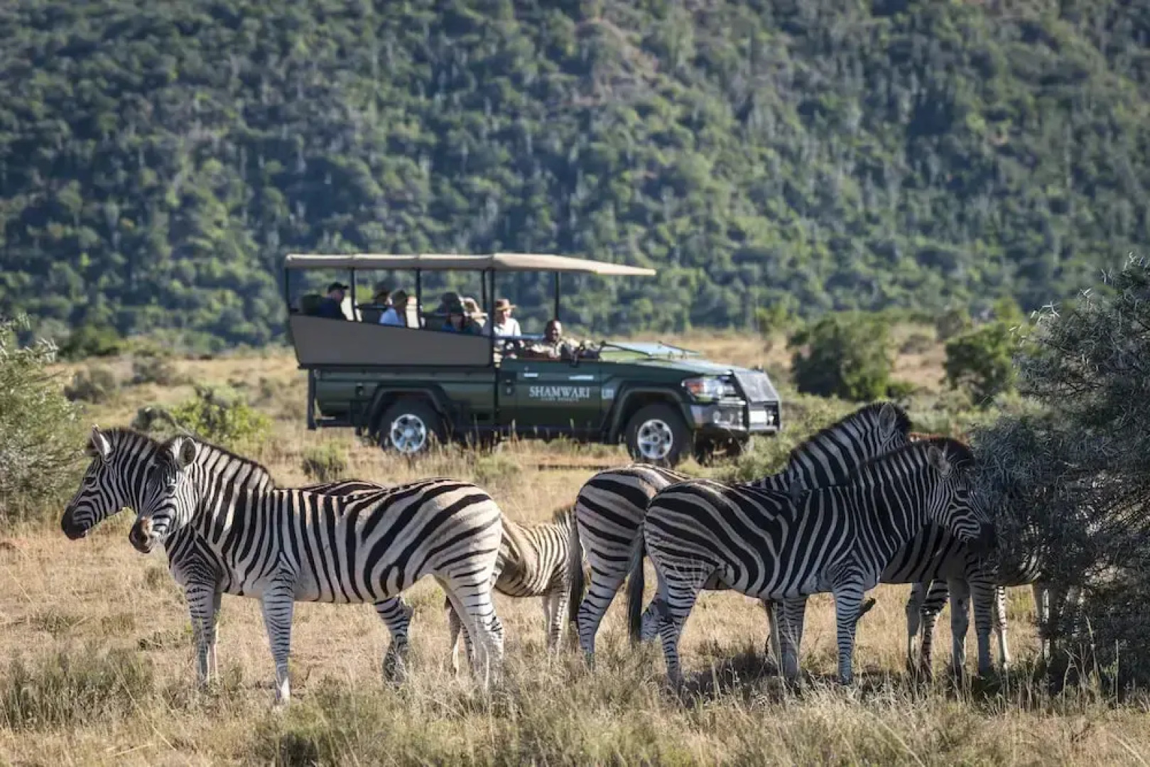 Shamwari Long Lee Manor