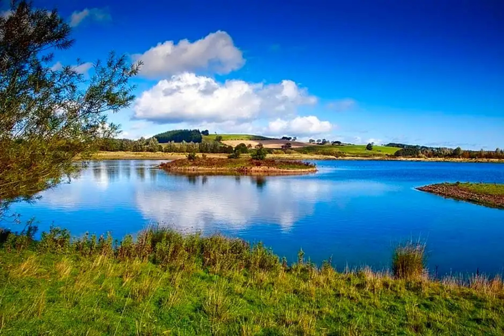 The Bosk @ Breamish Valley Cottages