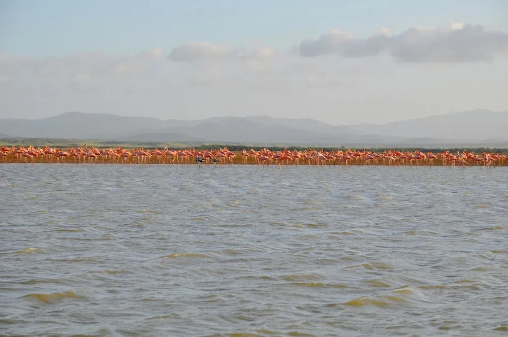 Bona Vida Hostel la Tercera