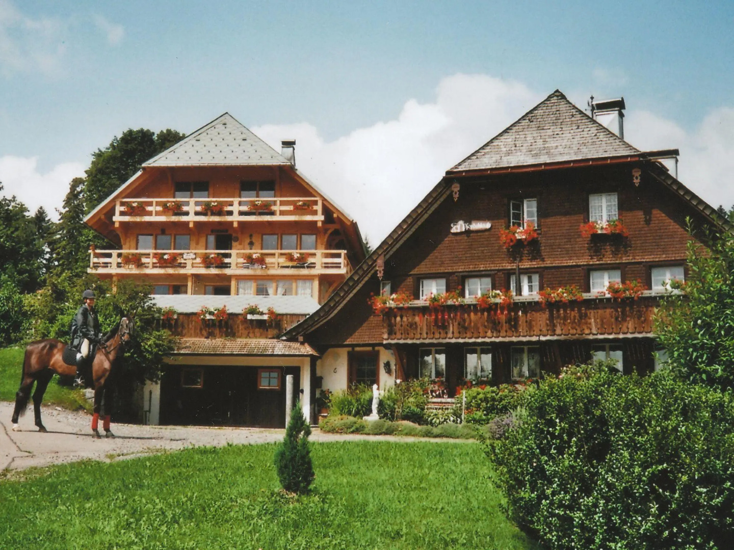 Apartment in Dachsberg-urberg