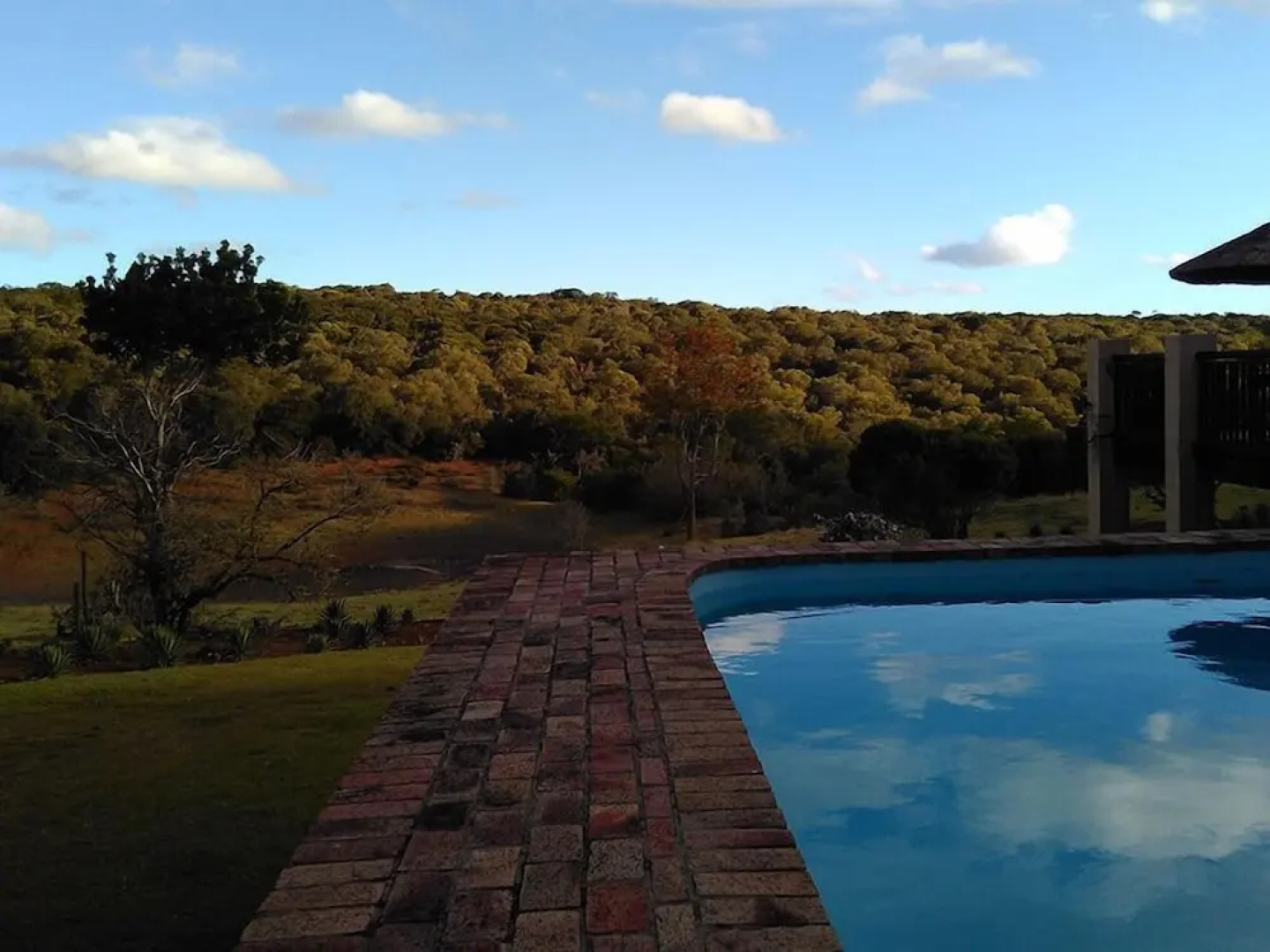 Aloe and Elephant Lodge