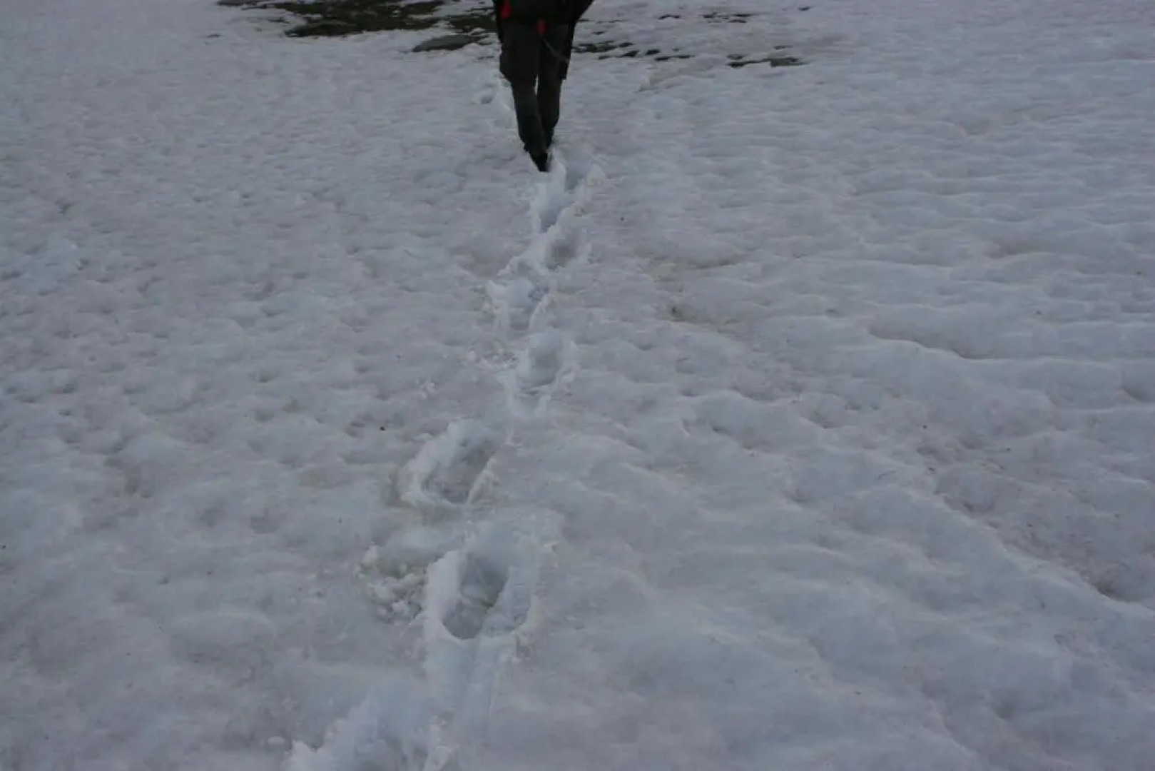 Apartamentos Casa Aneta