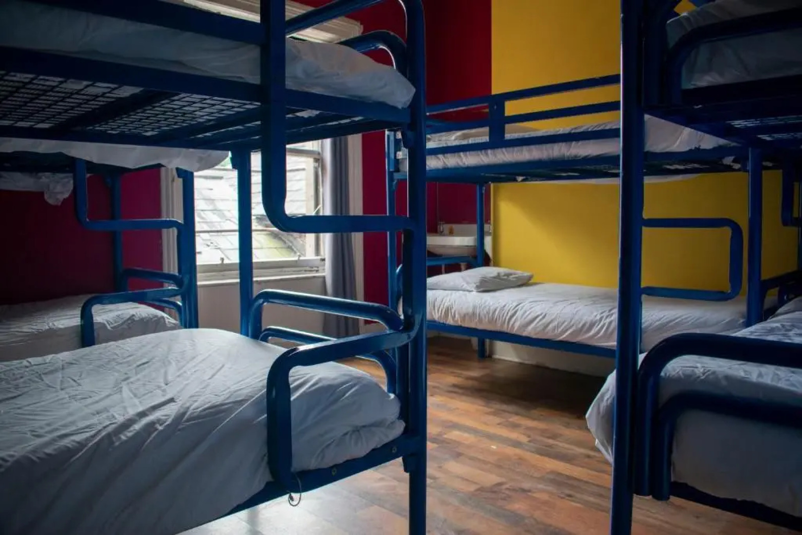 Paddys Palace Belfast