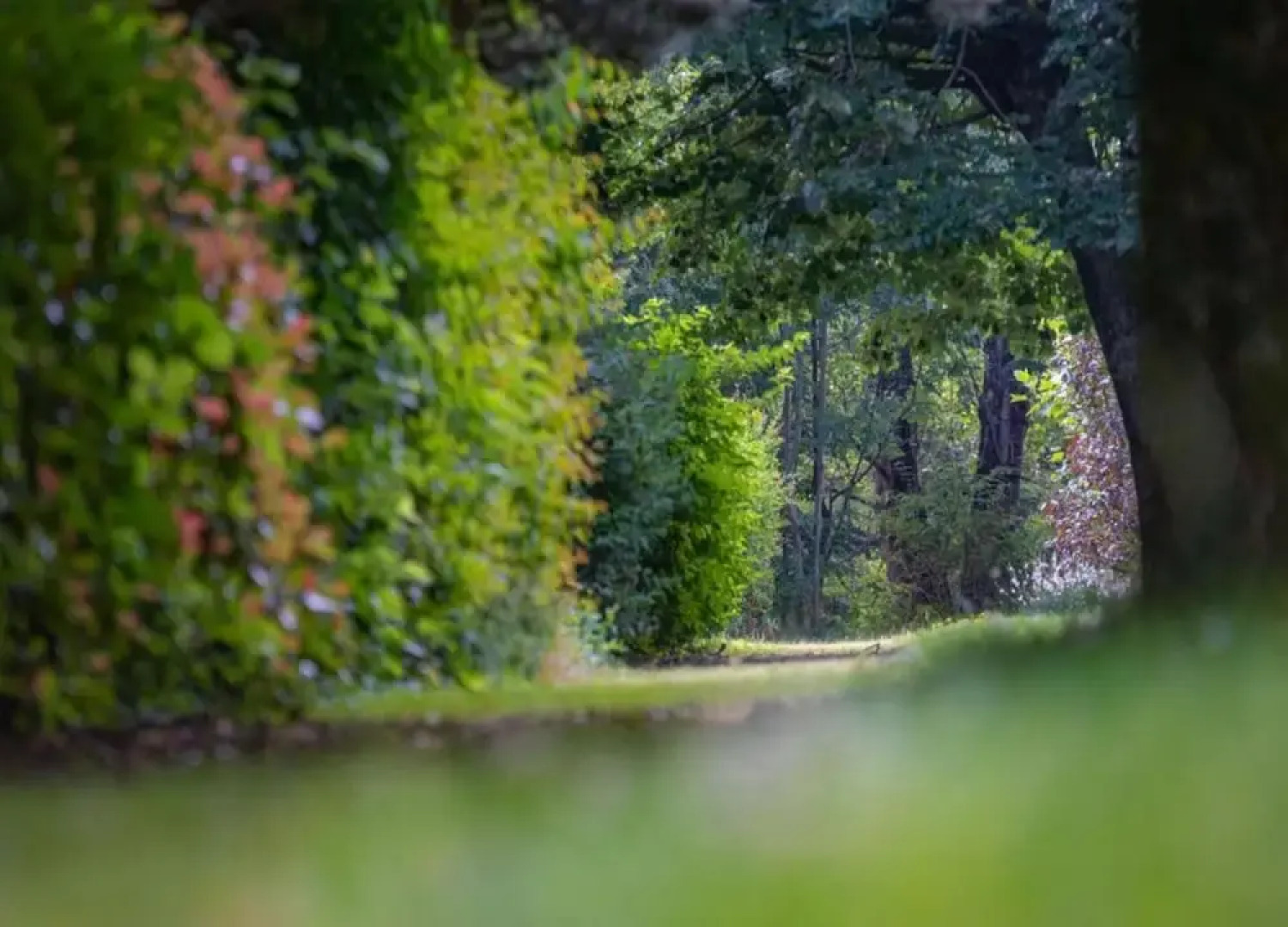 Apartment in Doucy With Mountain Views