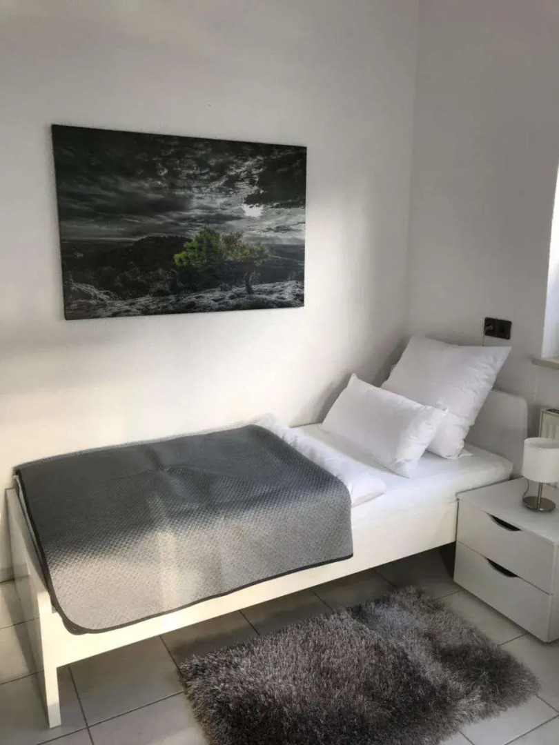 xxl Apartment Sinsheim