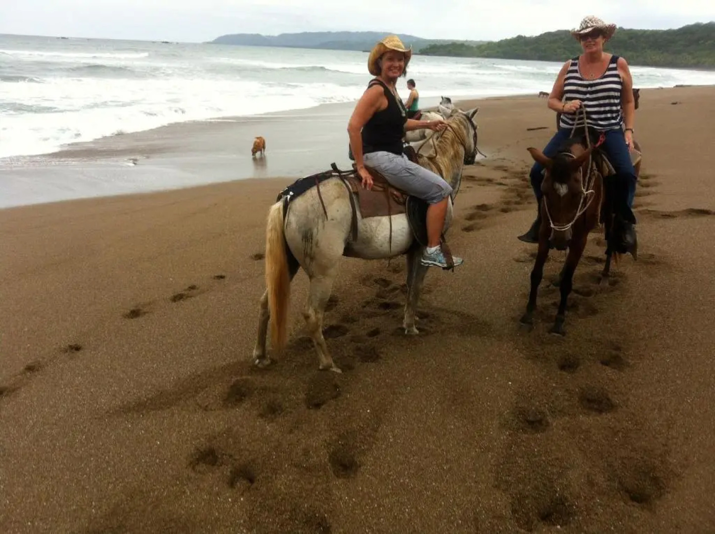 Vista Hermosa Bed and Breakfast