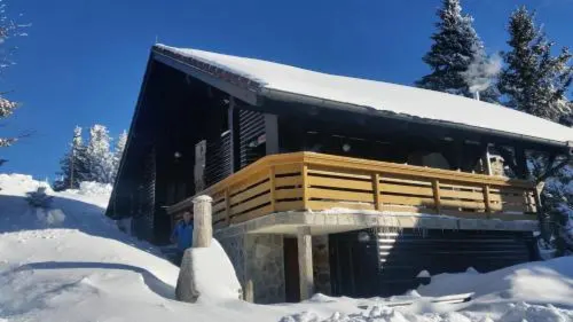 Apartment Borovnica Rogla