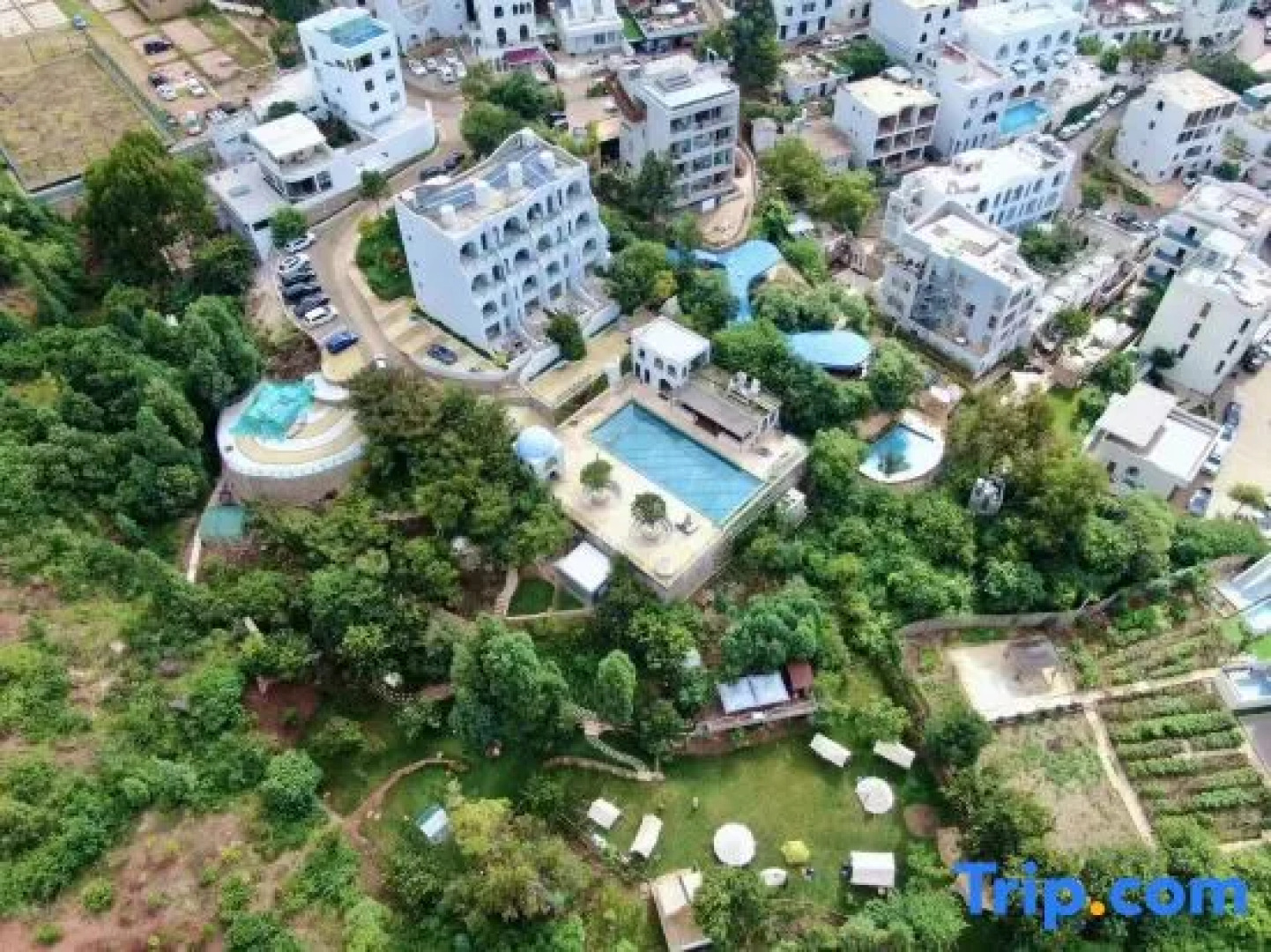 Rousseau homestay in Fuxian Lake