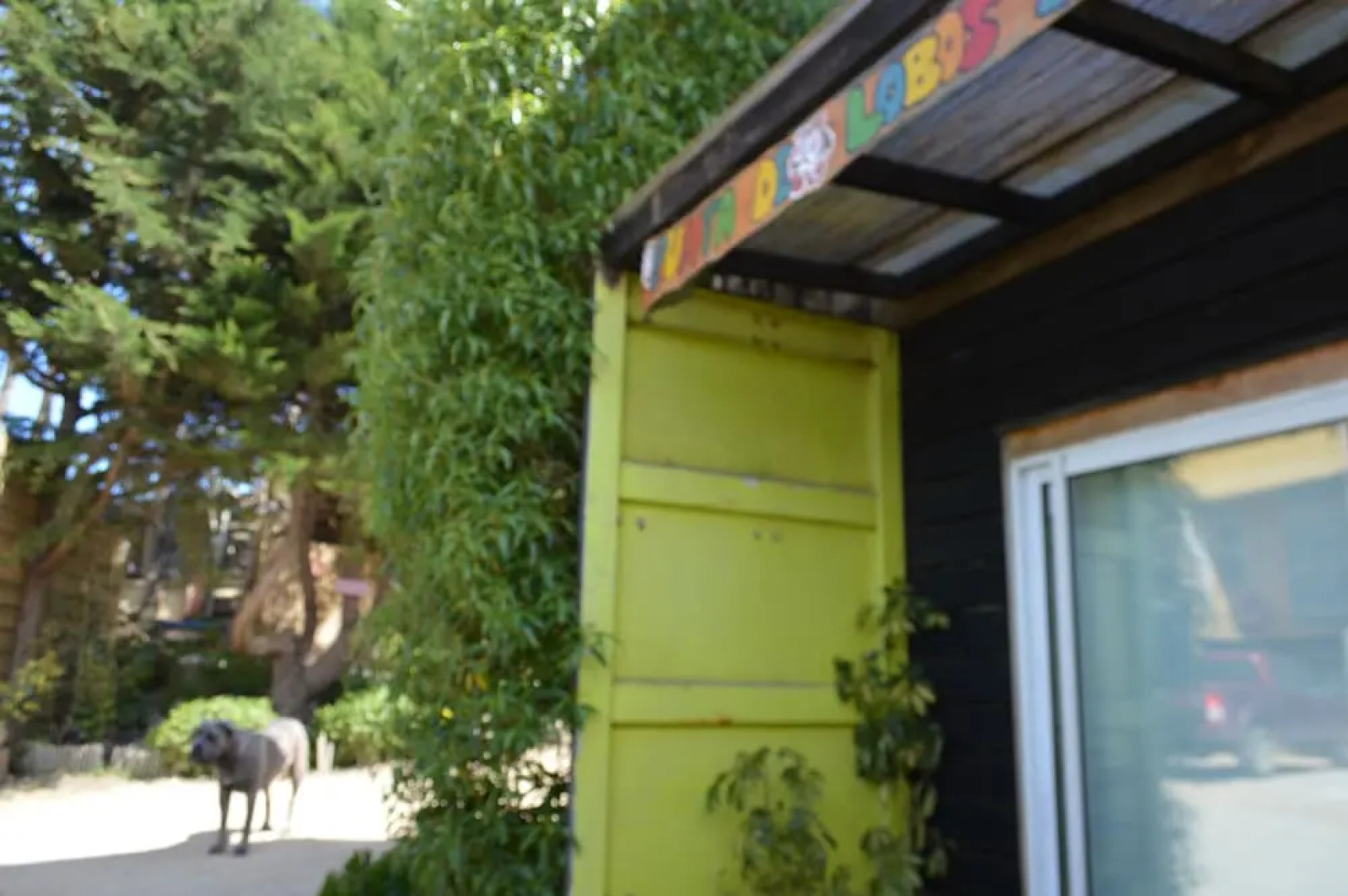 The Sirena Insolente Hostel