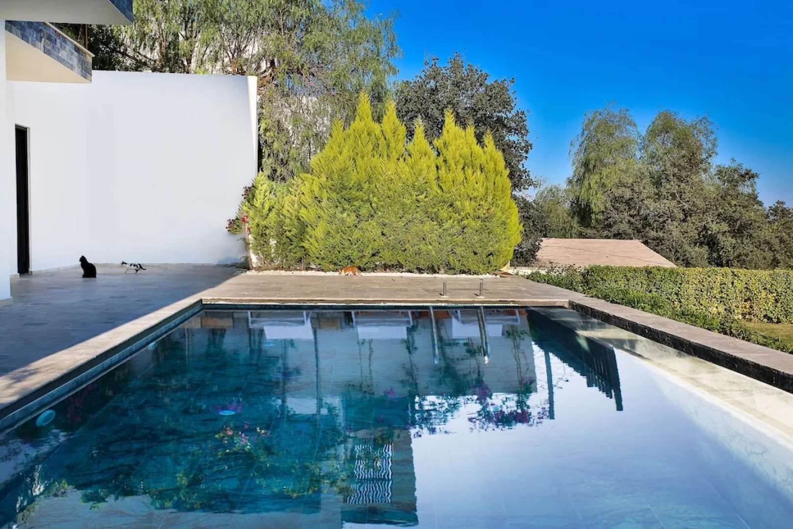 Important Group Villa Prestige