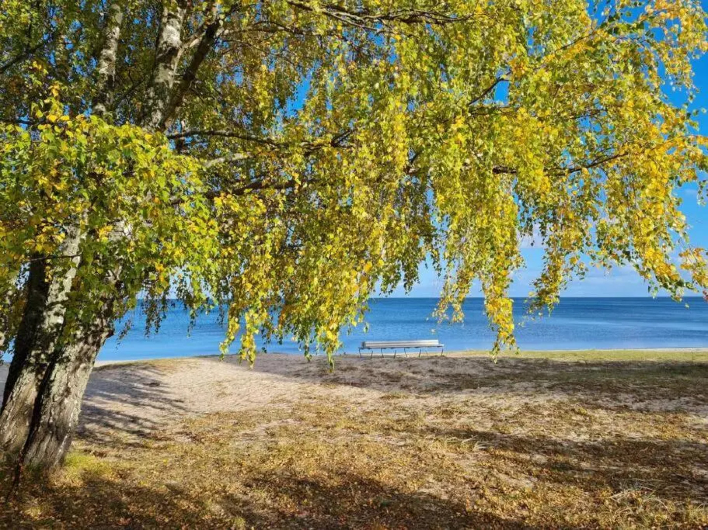 Seaside Apartment "Sunrise" with terrace in Ķesterciems, Albatross