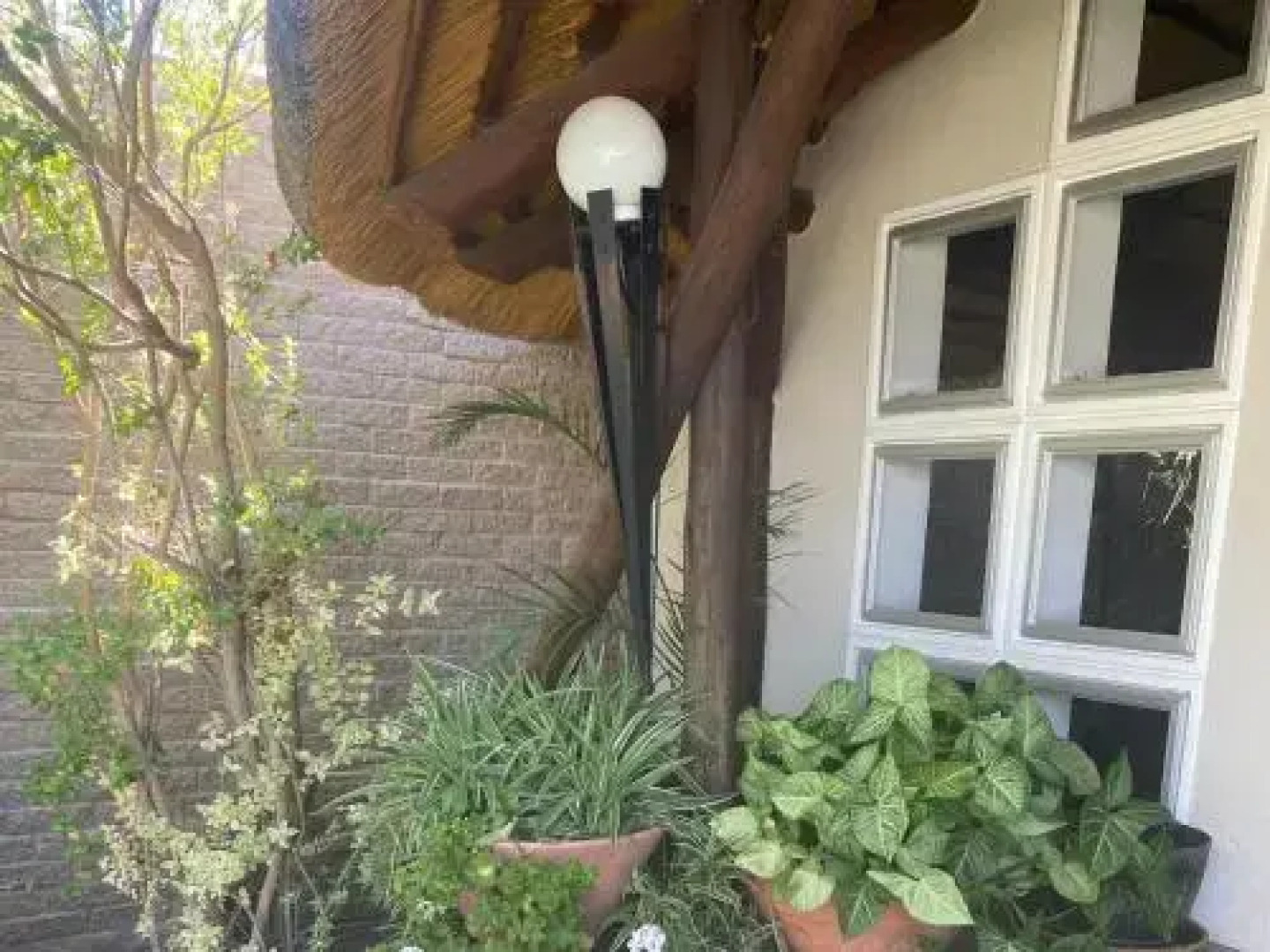 Bird's nest Guesthouse